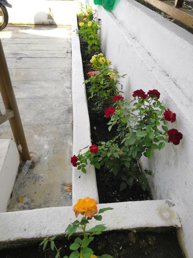 Jsw Inn Gelugor Esterno foto